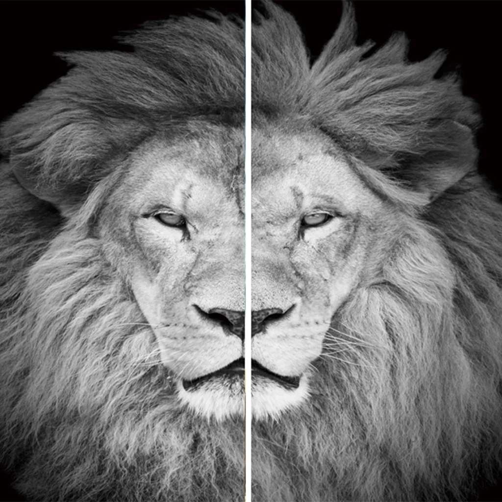 Gray Lion 3D печать животных шторы для окон балдахин для гостиной, 59x6", 2 панели/комплект с крючками для штор и бесшумным кольцом для штор - Цвет: Gray Lion
