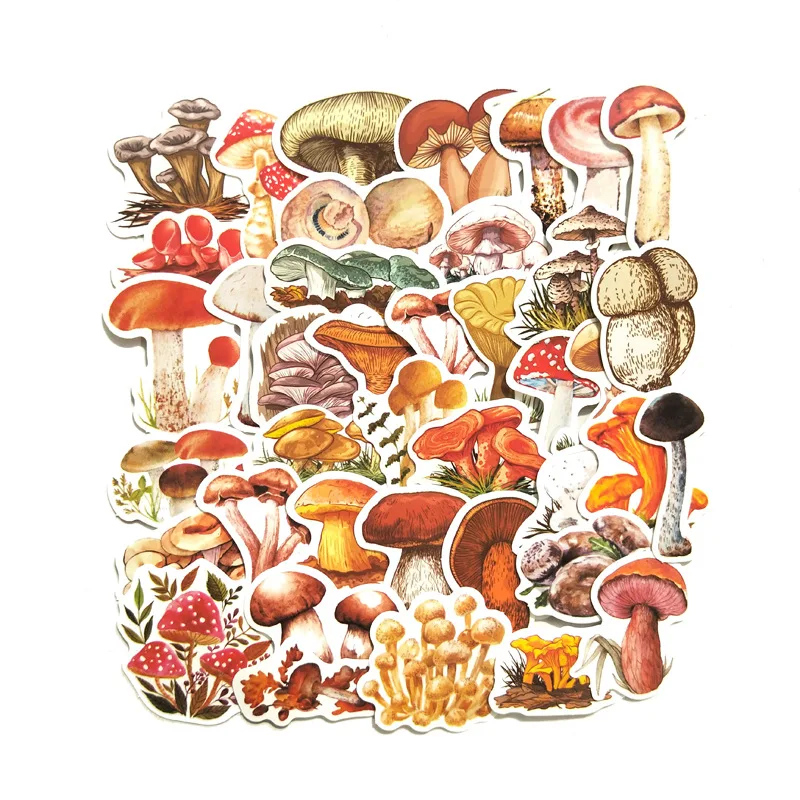 12801564035_413955102