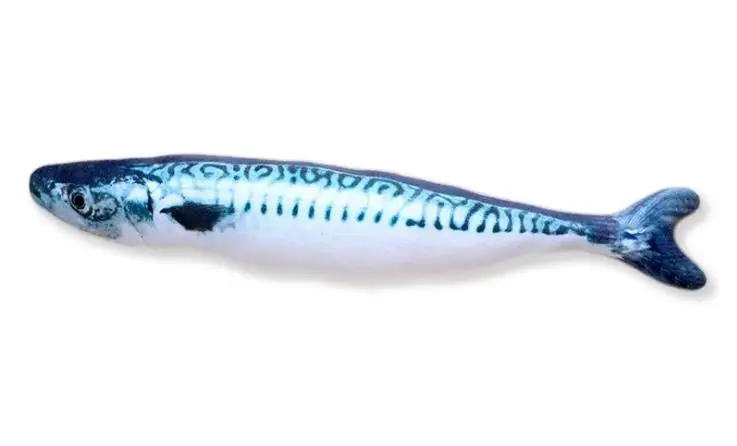 Spanish mackerel Игрушка для кошек, плюшевая креативная 3D игрушка для кошек в форме рыбы, Интерактивная игрушка для кошек, игрушка для снятия стресса, игрушка для кошек, лак для ногтей, для домашних животных, прочная игрушка для кошек - Цвет: Spanish mackerel