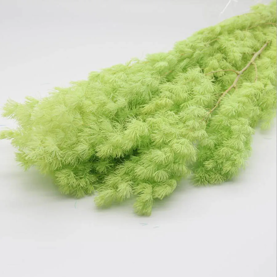 10 пучков консервированные Asparagus Myriocladus цветок для свадебной вечеринки дома отель ваза букет, венок Изготовление DIY - Цвет: Light Green