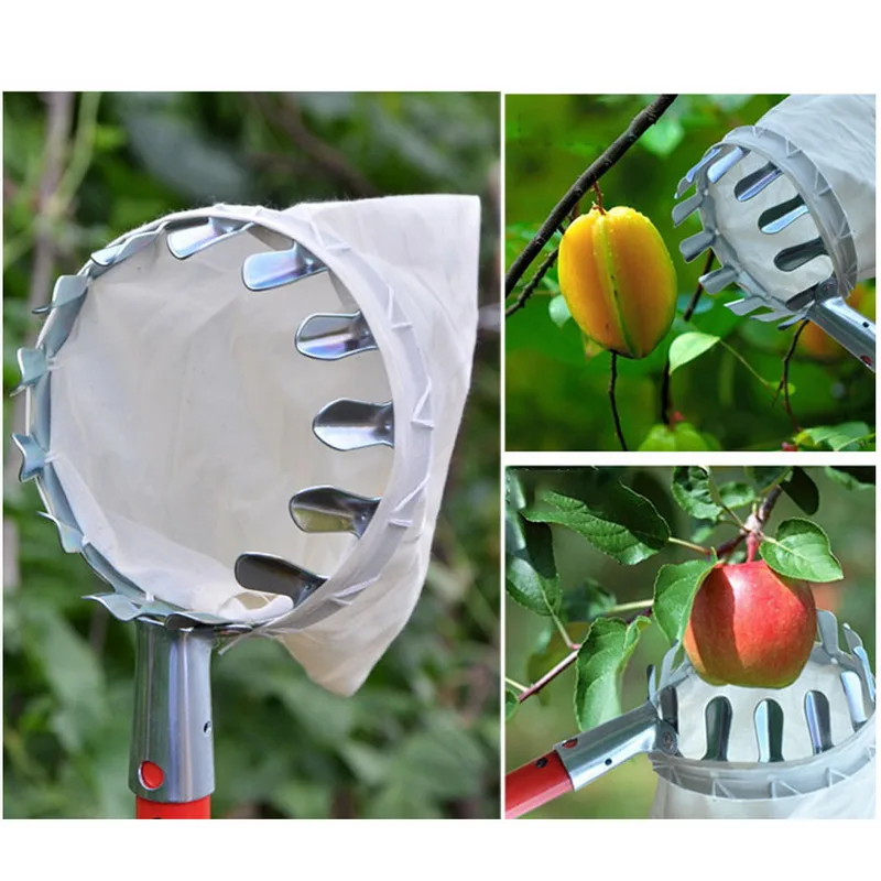 Recolector de frutas portátil, cesta para la cabeza, recolector de frutas
