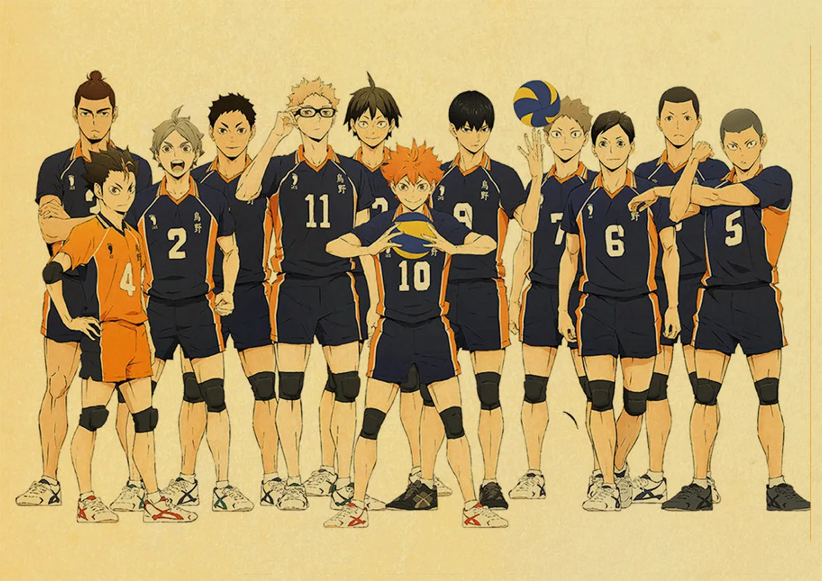 Anime Haikyuu team