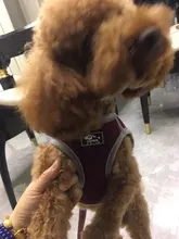 Arnés reflectante para gatos, chaleco transpirable para perros y gatos, conjunto de arnés y correa de fácil Control, malla de nailon para mascotas