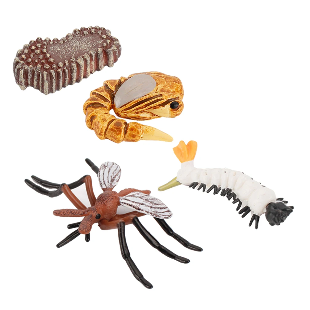 Early Kids Toddlers Simulation Animals Growth Cycle Toy Pretend Play Animal Growth Cycle Teaching Aids Early Educational Toy