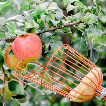 

VIP for motherboard Fruit Picker Wire Picker Convenient Fruit Picker Gardening Peach Picking Tool