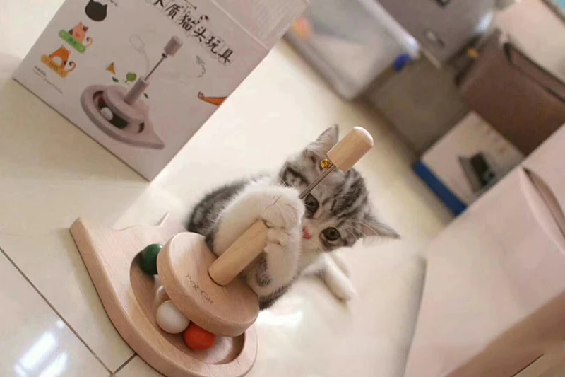 9215761288_652209679