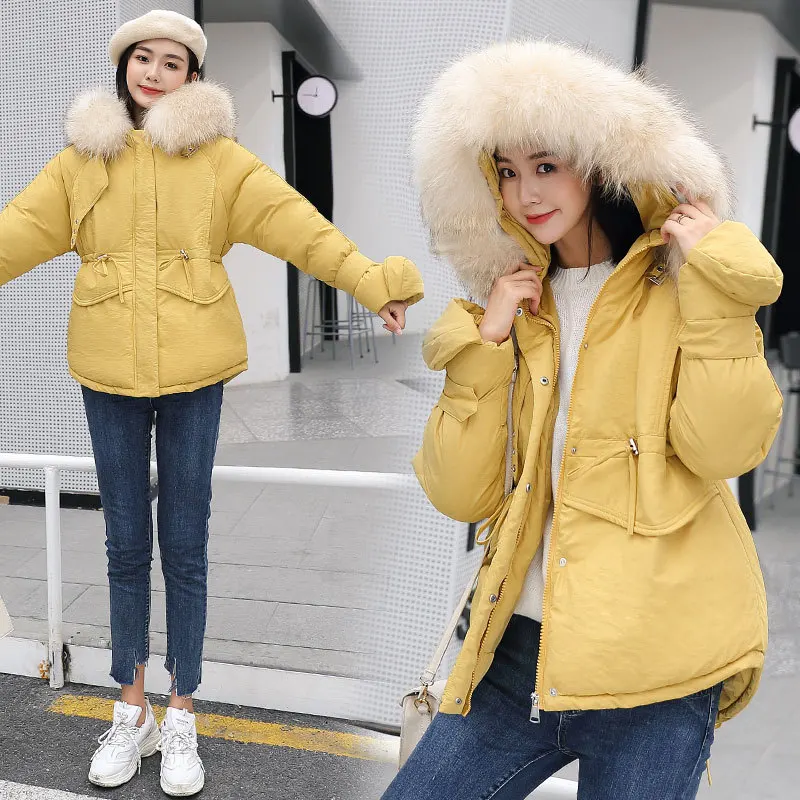 

Winter Cotton Dress Women's 2019 Korean-style New Style down Coat Students Coat Thick Short Large Fur Collar down Feather Cotton