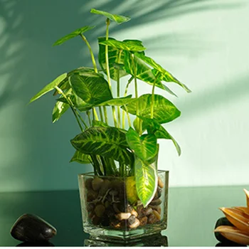 

Artificial Plants with Simulation Bonsai Glass Pot 4-leaf Clover Window Decoration Household Table BDF99