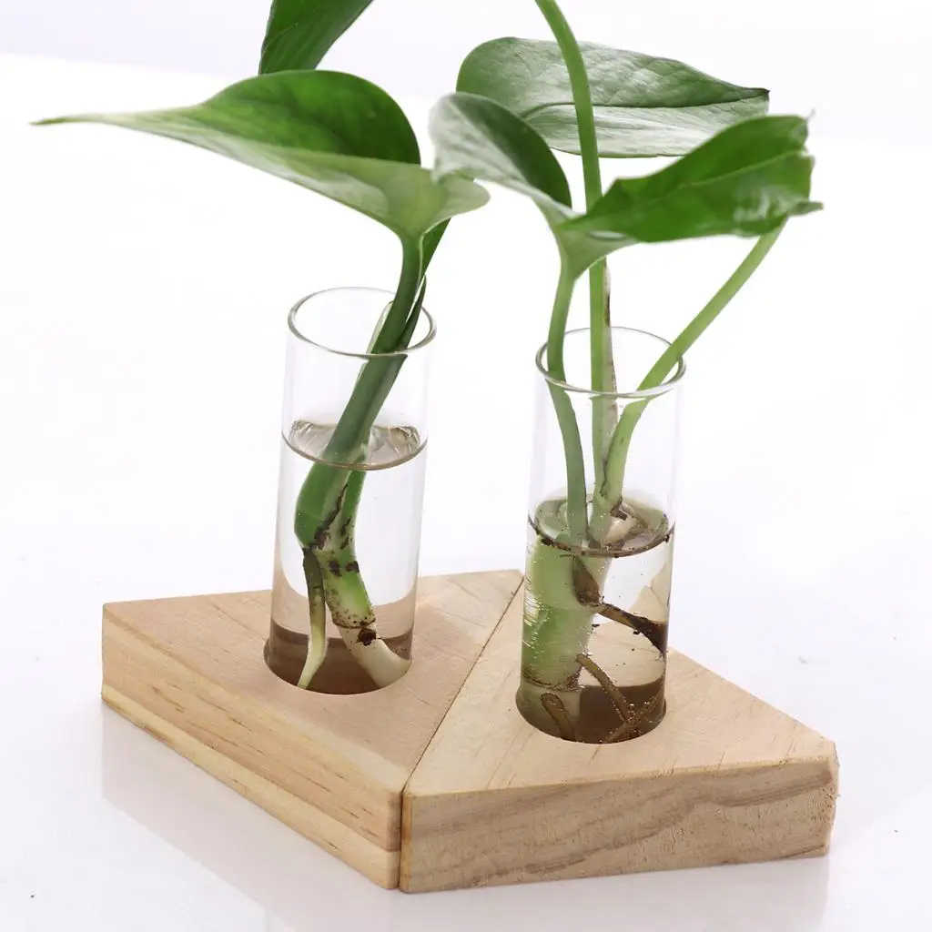 Glass Test Tube Vase in Wooden Stand Flower Pots for Hydroponic