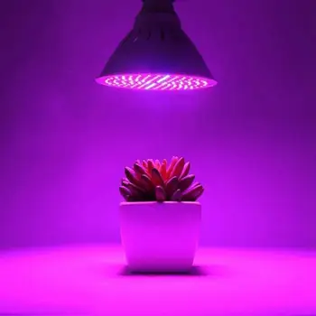 

High Brightness Plants Growth Light Vegetables 60LED Eco-Friendly Flower Plant Lamp Energy Saving Indoor Hydroponic E27