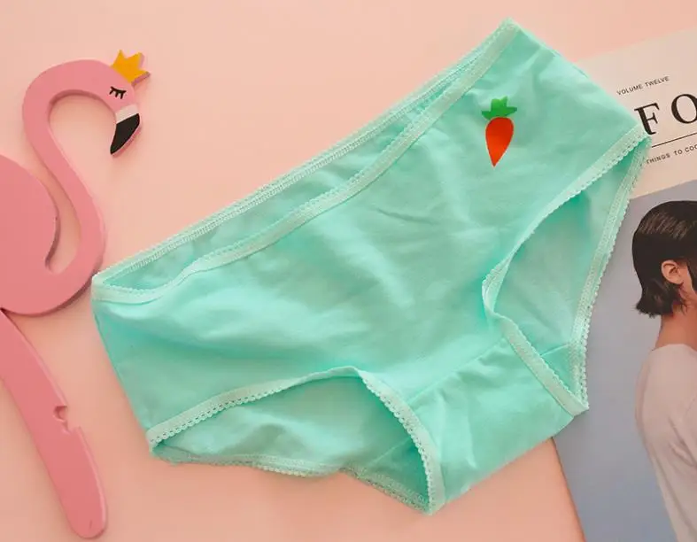 seamless panties (15)