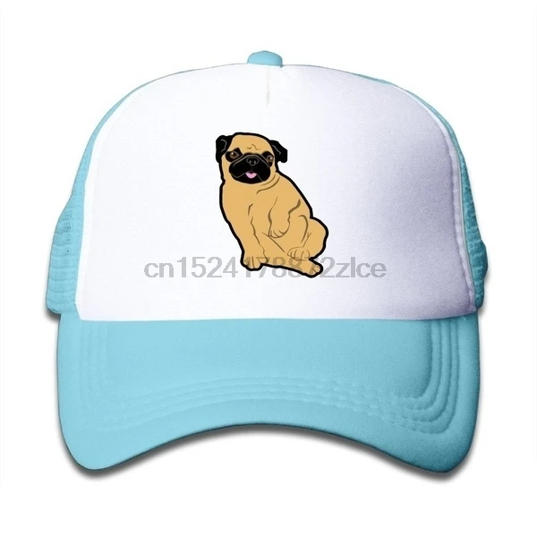 Детская Милая бейсболка с Мопсом и сеткой