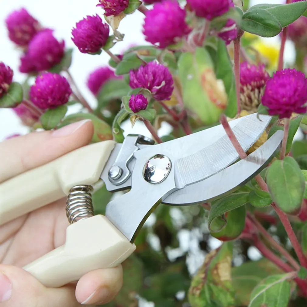 

Stainless Steel Garden Scissors Grafting Tool Fruit Tree Pruning Shears Bonsai Pruners Garden Shears Gardening Secateurs Scissor