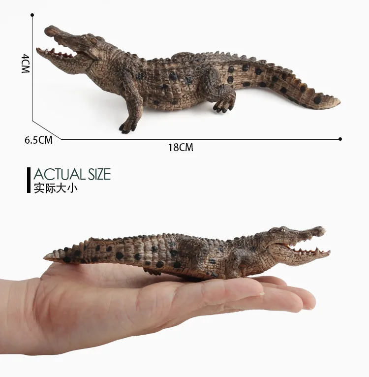 9004149481_1793268619