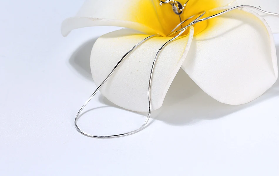 SC19-P-SCENE-IMG_9186-R