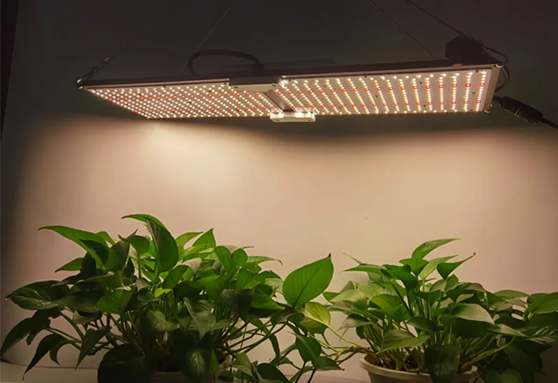 led grow downlight lighting