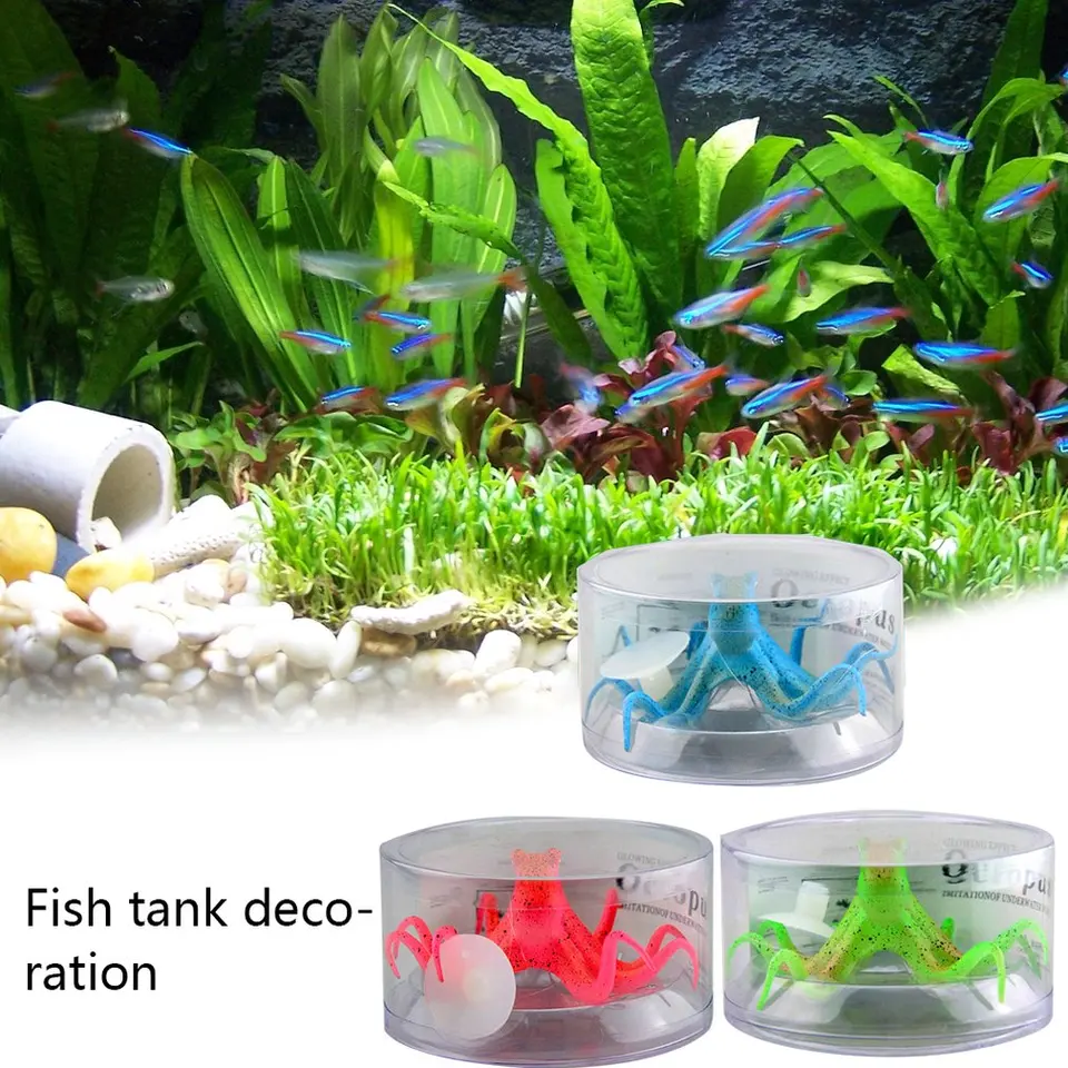 fish aquarium supplies