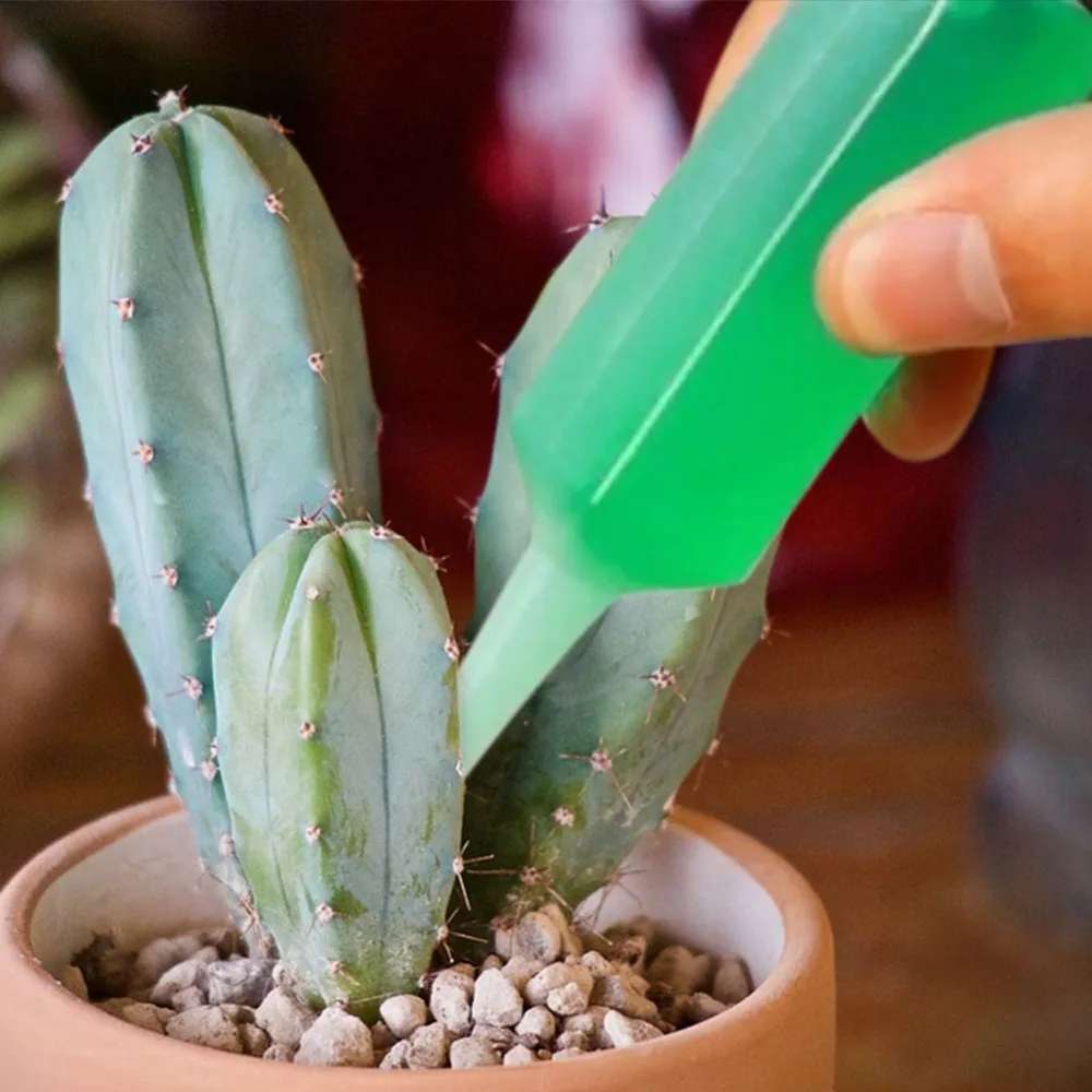 afc6b89132a293a41a389d16351773fd