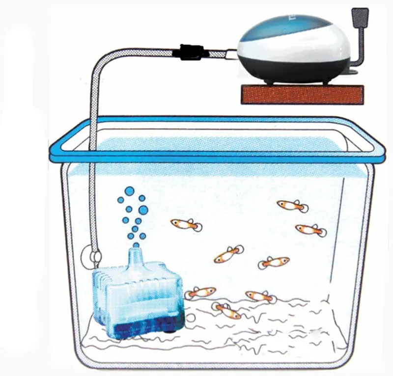 日生水妖精 (10)