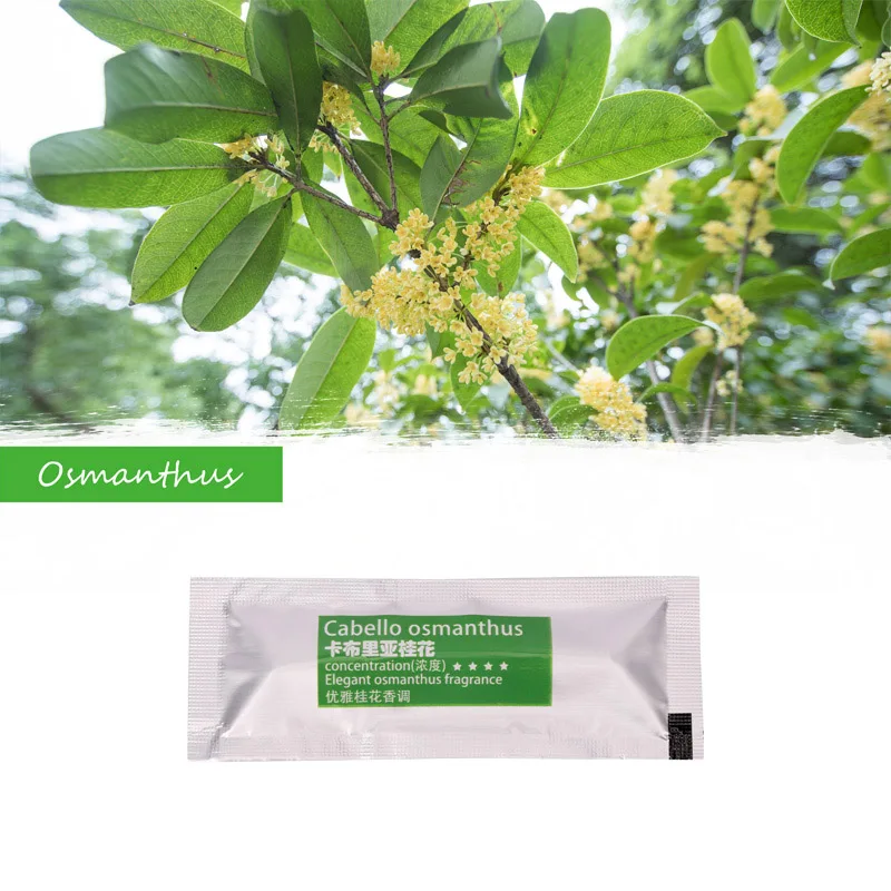 HTB1e0nzb.GF3KVjSZFmq6zqPXXaR