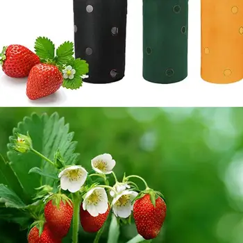 

Practical Multi-Port Container Bag Non-Woven Hanging Moisturizing Breathable Spring Strawberry Planting Bag Creative Vegetable