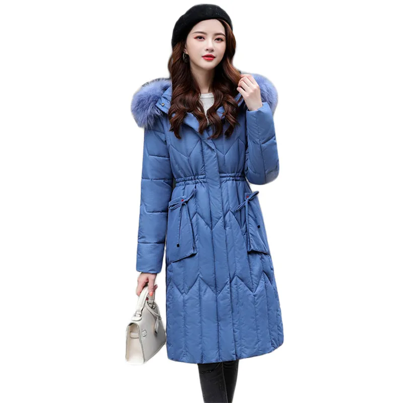 

Winter Coat Women Blue 5XL Plus Size 2020 Autumn New Korean Fashion Slim Down Cotton Jackets Thick Anti Cold Warmth Parka LD1463