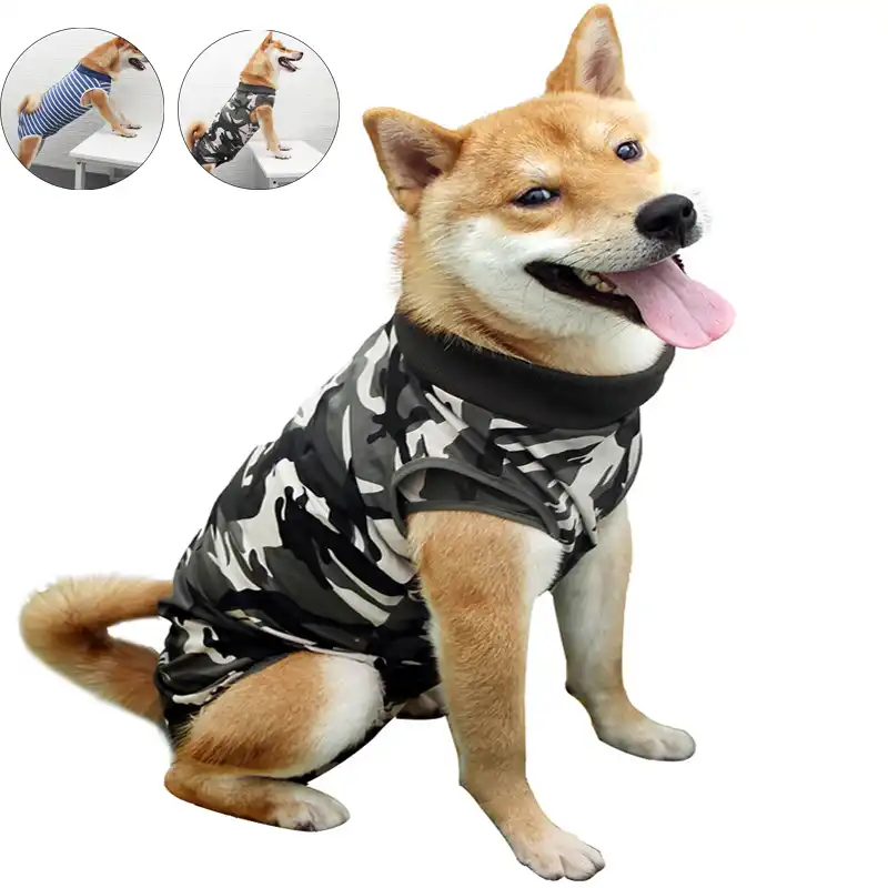 Ornek Deniz Urunleri Sempozyum Kopek Koruyucu Yelek Samsunozon Com