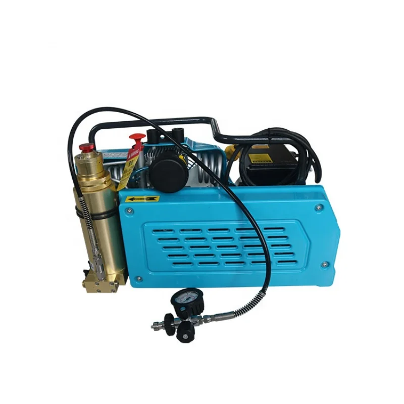 Mini Compressore D'Aria Respiratoria 100L 220V Per Immersioni