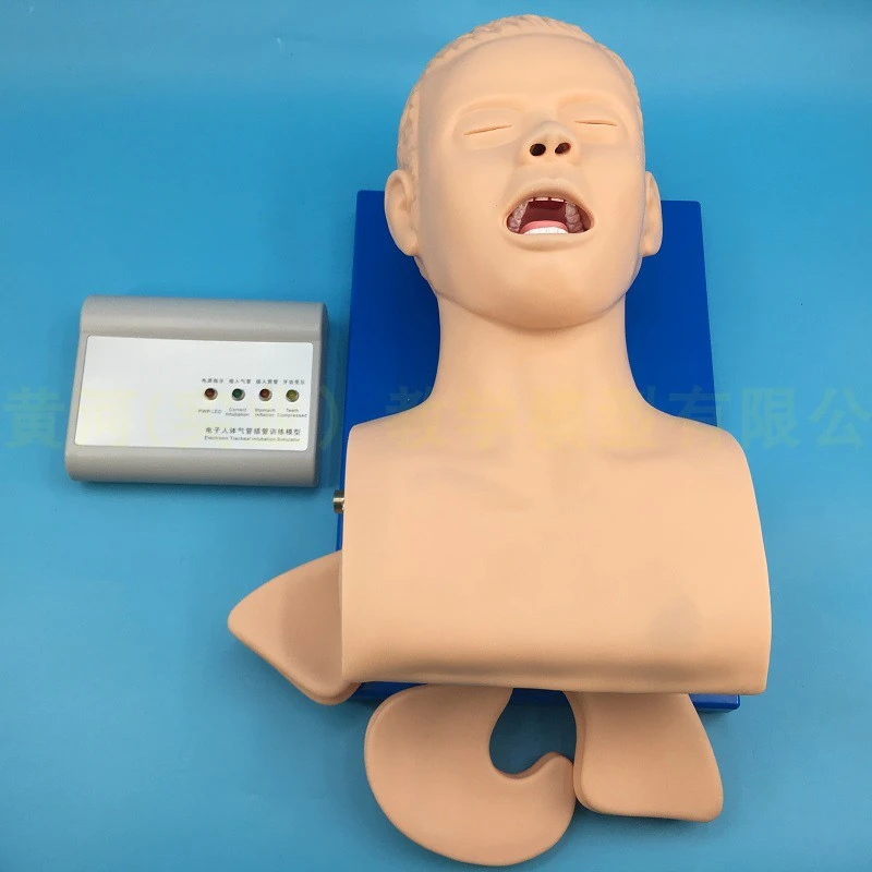 Intubation Manikin Учебная модель Airway управление тренажер ПВХ с зубами