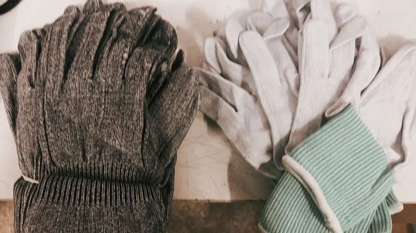 QQ图片20200815085422