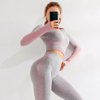 Pink Sport Top Бесшовный спортивный топ для фитнеса, женский топ для йоги, укороченный топ с длинным рукавом, женская спортивная рубашка, рубашка для йоги, тренажерного зала, майка для тренировок, женская спортивная одежда - Цвет: Pink Sport Top