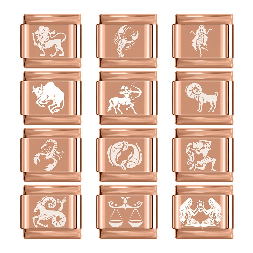 Fyour розовый браслет амулеты 12 Созвездие амулеты звенья подходят 9 мм браслет серебро Нержавеющая сталь ювелирные изделия DIY Изготовление DJ205