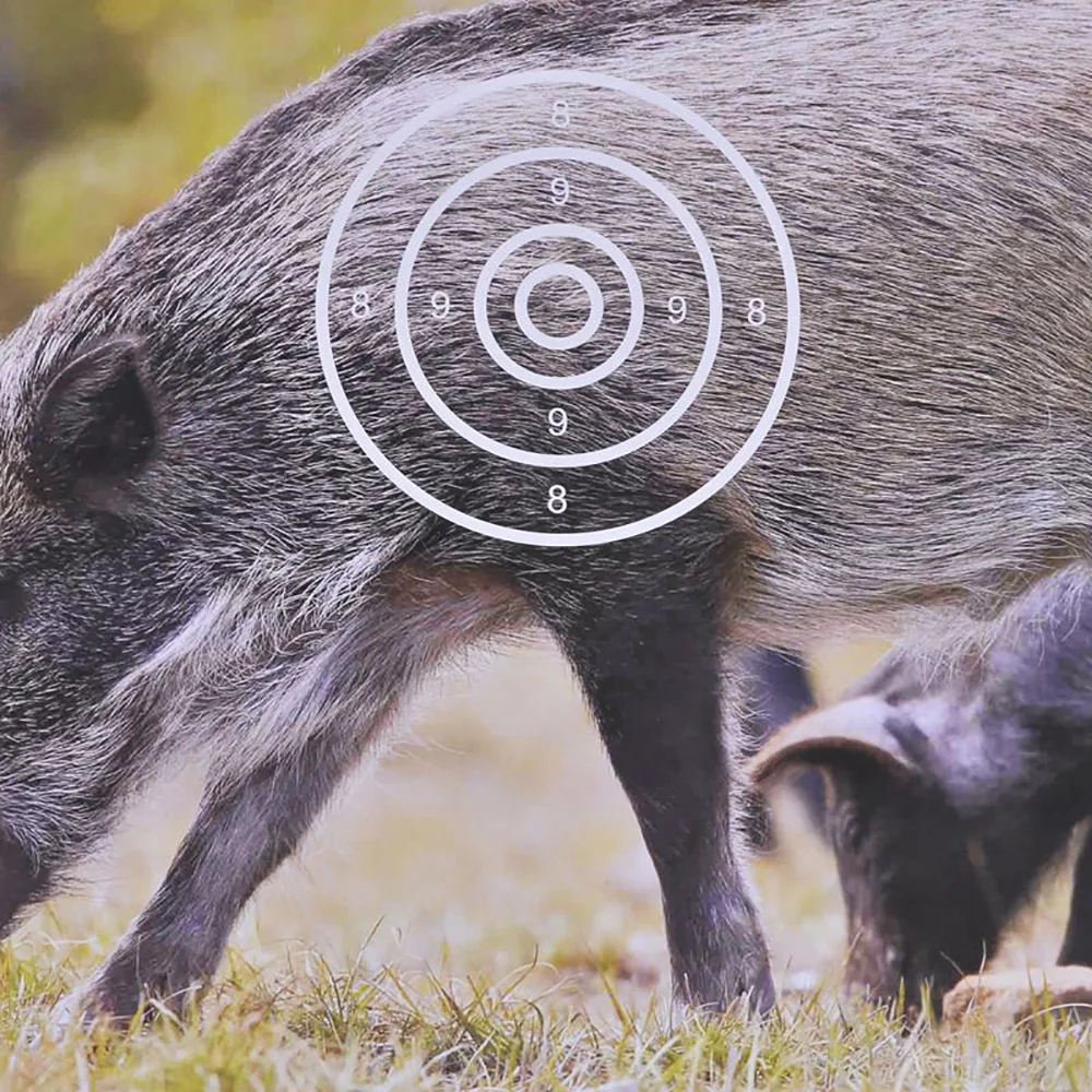 アーチェリーターゲットペーパー コンパウンドボウ 射撃ターゲットペーパー イノシシ 10 15個 44x44 Cm Aliexpress スポーツ エンターテイメント