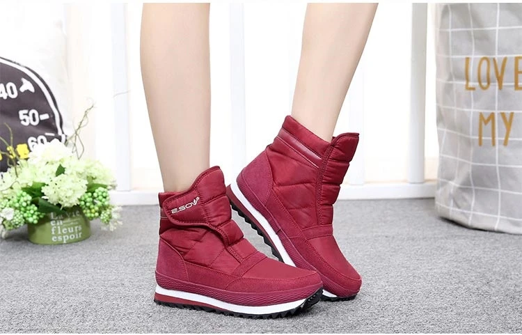 Hfda546af204c4f89b28f2c6c9e2d112cW