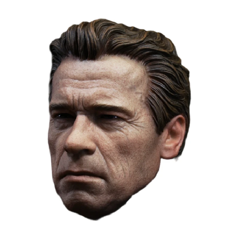Custom Guardian 1/6 Head Sculpt for Muscular Hot Toys T800 Terminator Body for 12