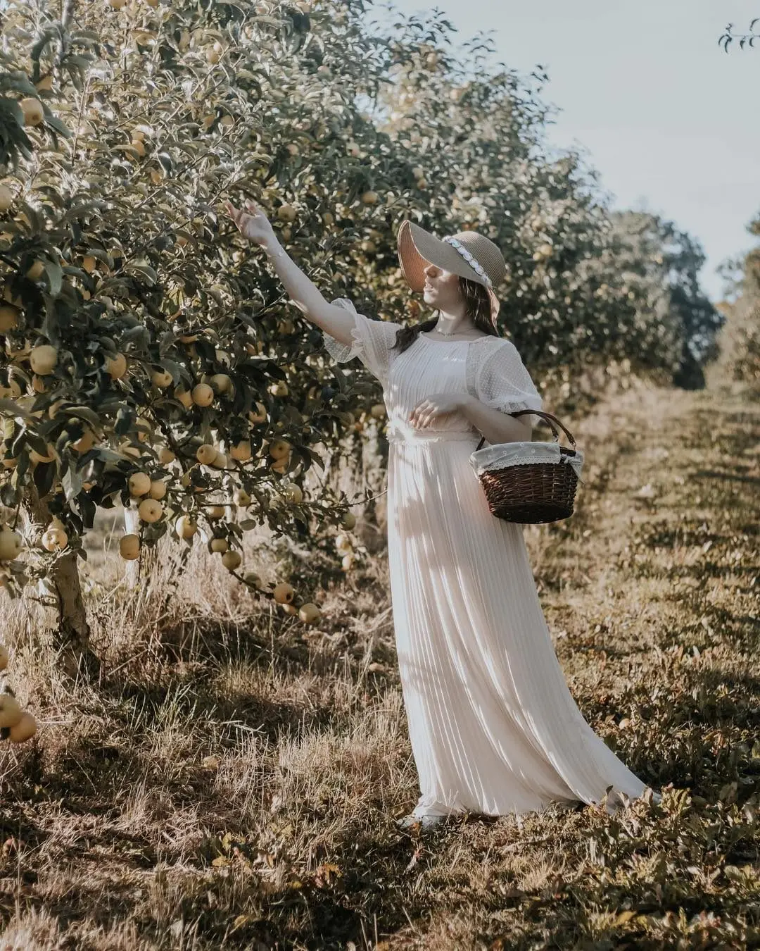 ^*Best Offers Natural Wicker Woven Bread Basket wood Woven Fruit Vegetables food Container picnic camping Garden Storage Basket Kitchen ^*Best Offers Natural Wicker Woven Bread Basket wood Woven Fruit Vegetables food Container picnic camping Garden Storage Basket Kitchen