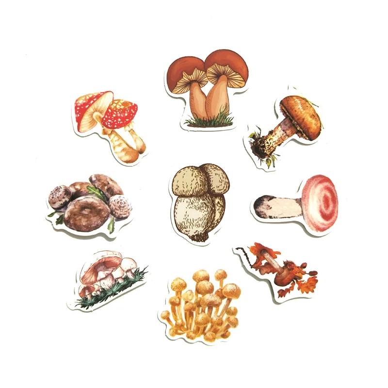 12801552554_413955102