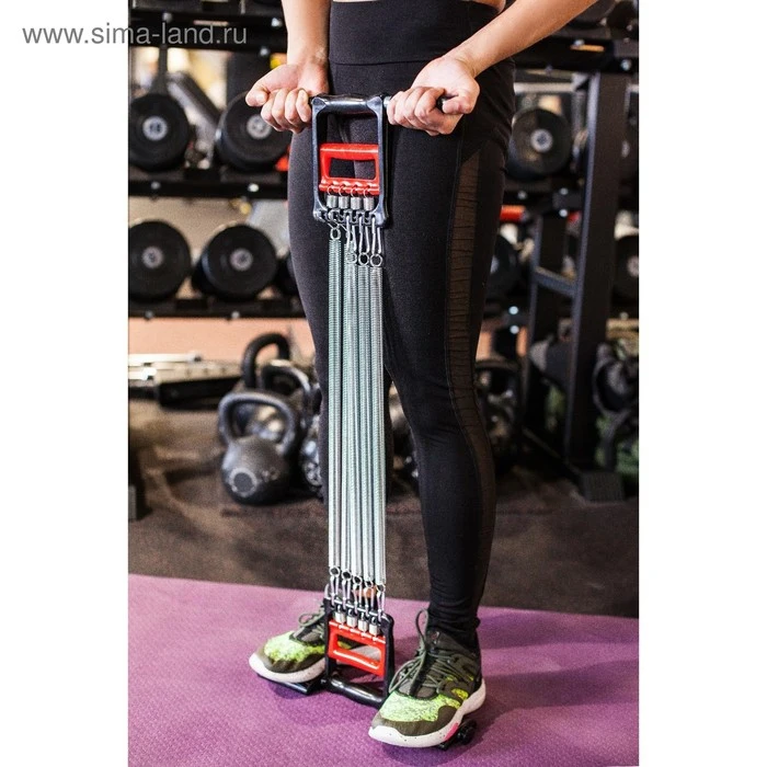 Expansor 2 en 1: Para los músculos abs y pectoral ► Foto 3/4