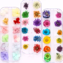 Натуральные высушенные цветы 3D дизайн дизайна ногтей советы из серии «сделай сам» Маникюр 12 цветов Мода HJL2019
