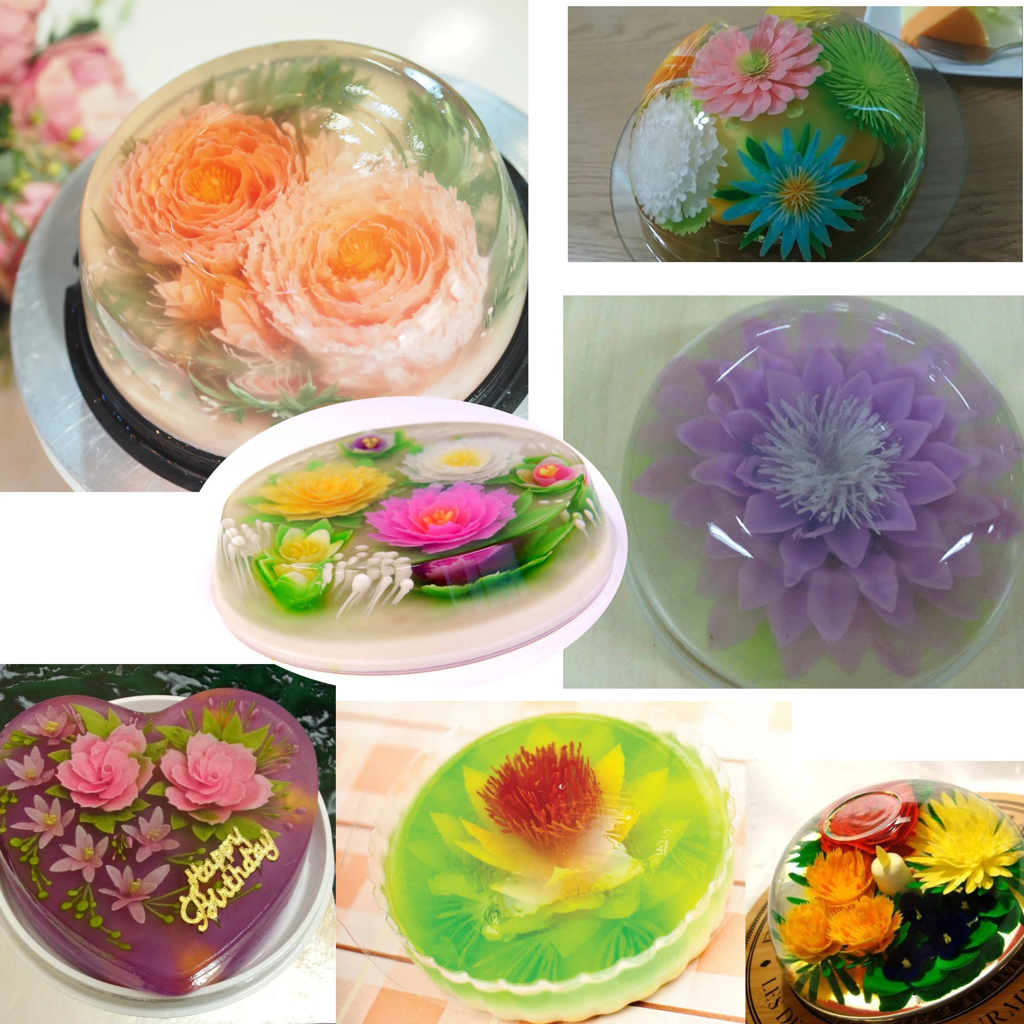 Blooming 3Djelly Cakes Made From Seaweed — Monterey Bay, 47 OFF