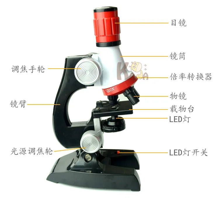 

Young STUDENT'S Experimental Apparatus Early Education Biological China Science Publishing & Media Ltd.(cspm) High-definition 12