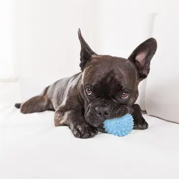 

2PCS Dog Toy Ball Bite Resistant Rubber Sound Toy Dog Toys For Aggressive Chewers Training Toy Dog Play Ball Cosas Para Perros