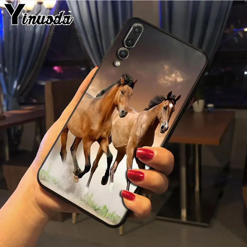 Hot running Horses animal