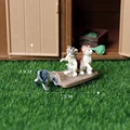 Playing cat