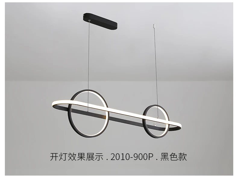 2010-900P_12