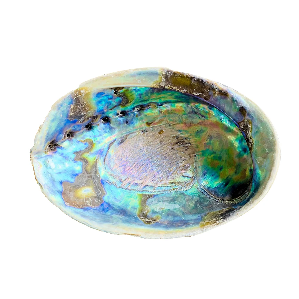 Hce5f3601487c4d3fa0533a790d76059ar.jpg?width=1001&height=1001&hash=2002