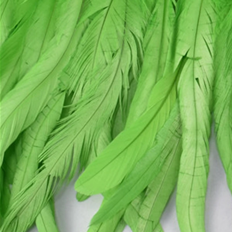 2 м хвостовые перья птиц планки(20-25 см - Цвет: Apple Green