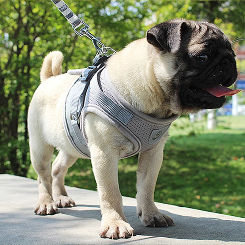 

Breathable Mesh Small Dog Pet Harness and Leash Set Puppy Vest Harness Harness Leash Adjustable Mesh VestXS/S/M/L/X