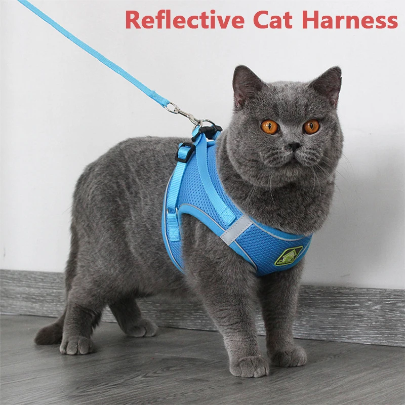 

Reflective Pet Cat Harness Leash Set Breathable Mesh Puppy Dog Vest Adjustable Pet Harnesses for Small Medium Dogs Accessories