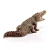 7.2inch Crocodile Figurine Animal Action Figure Toys Educational Creatures 14736 ► Photo 3/6